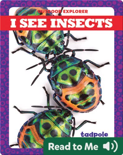 I See Insects