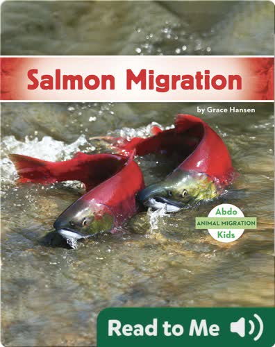 Salmon Migration