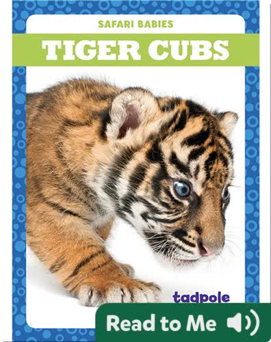 Tiger Cubs