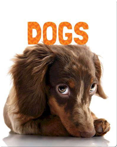 Dogs