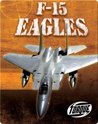 F-15 Eagles