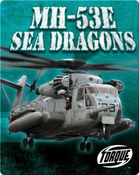 MH-53E Sea Dragons