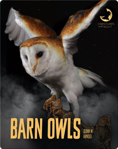 Barn Owls