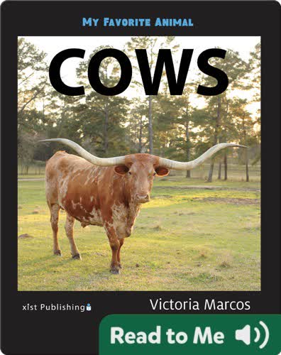 My Favorite Animal: Cows