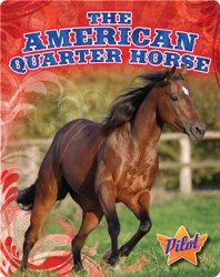 The American Quarter Horse