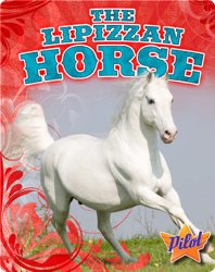 The Lipizzan Horse