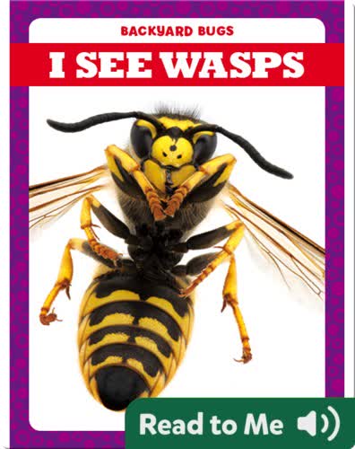 I See Wasps