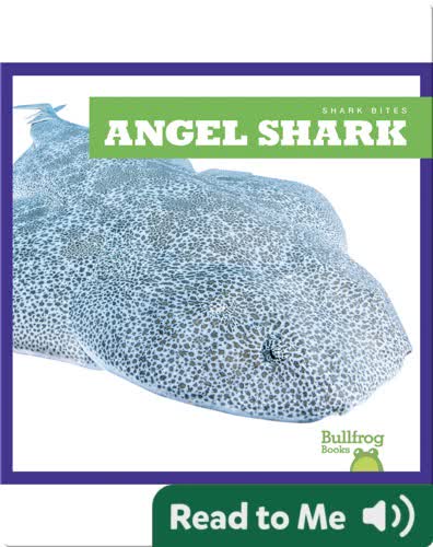 Shark Bites: Angel Shark