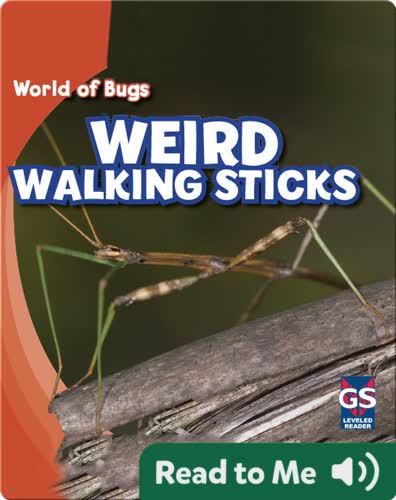Weird Walking Sticks