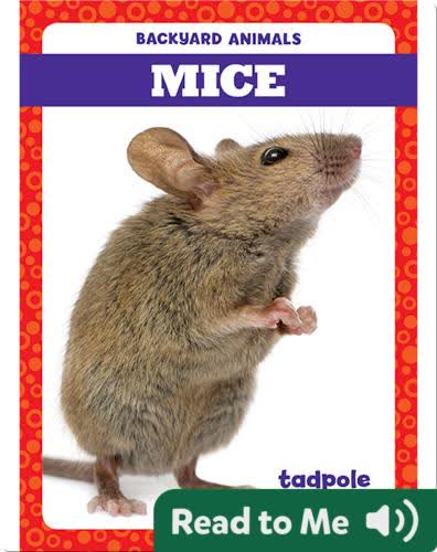 Backyard Animals: Mice