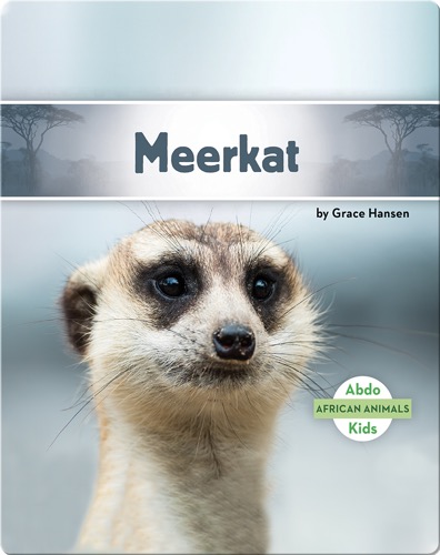 Meerkat