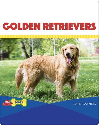 Golden Retrievers