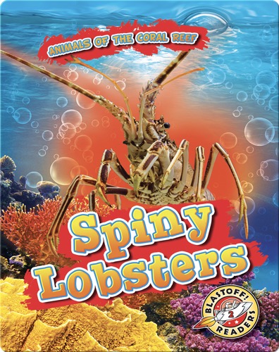 Animals of the Coral Reefs: Sping Lobsters
