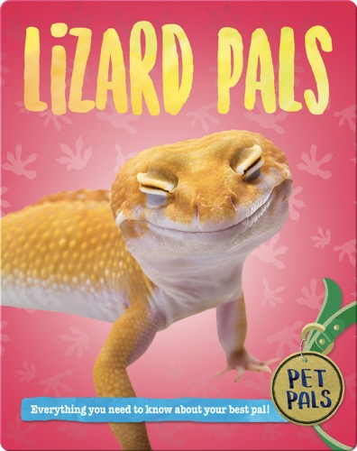 Lizard Pals