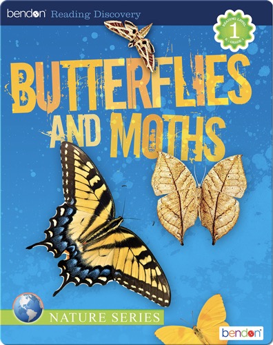 Butterflies and Moths