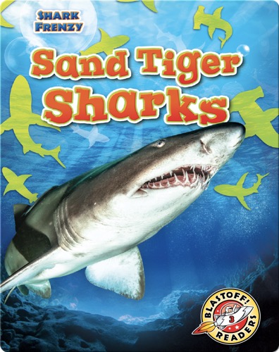 Shark Frenzy: Sand Tiger Sharks