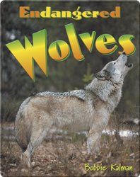 Endangered Wolves