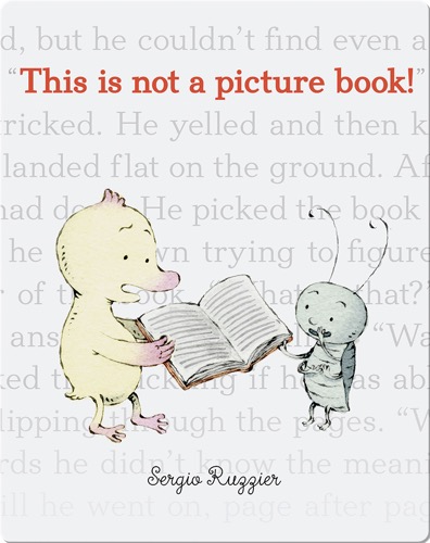 This is not a picture book!