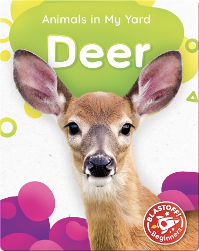 Animals in My Yard: Deer