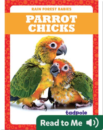 Rain Forest Babies: Parrot Chicks