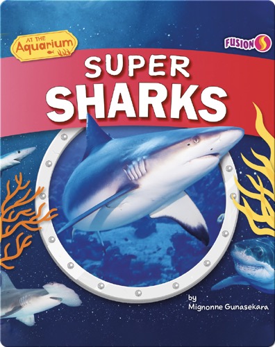 At the Aquarium: Super Sharks