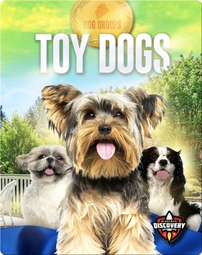Dog Groups: Toy Dogs