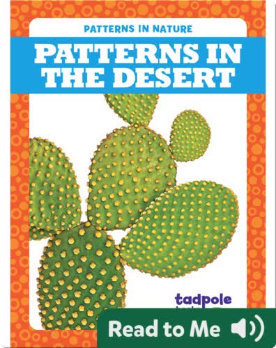 Patterns in the Desert