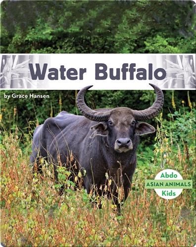 Asian Animals: Water Buffalo