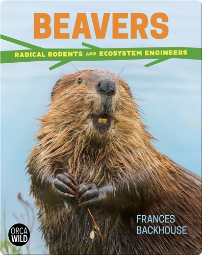 Beavers: Radical Rodents and Ecosystem Engineers