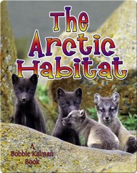 The Arctic Habitat
