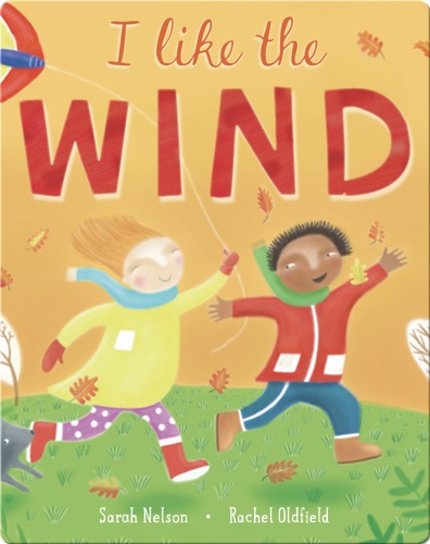 I Like the Wind