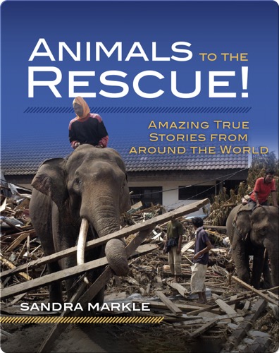 Animals to the Rescue!: Amazing True Stories from around the World