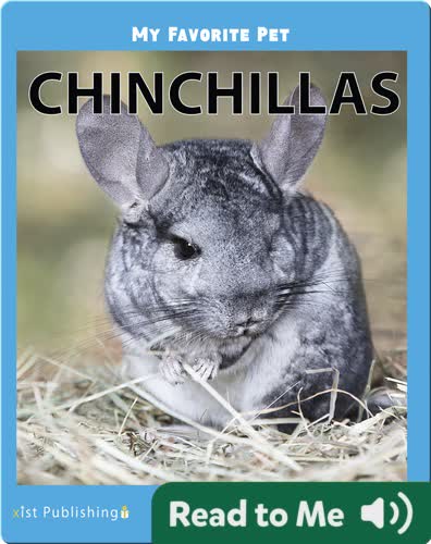 My Favorite Pet: Chinchillas