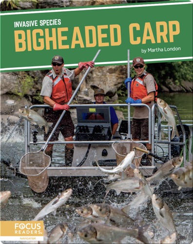 Invasive Species: Bigheaded Carp
