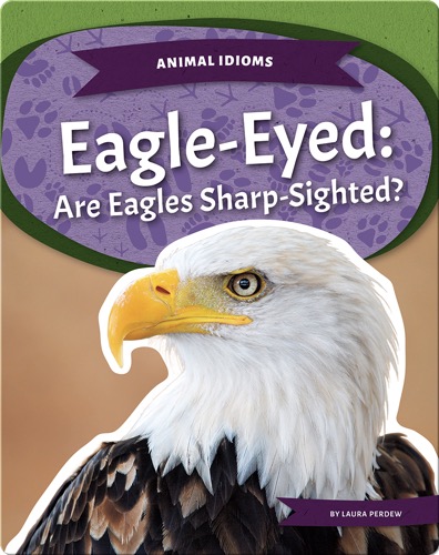 Eagle-Eyed: Are Eagles Sharp-Sighted?