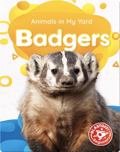 Animals in My Yard: Badgers