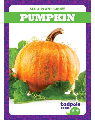 See a Plant Grow!: Pumpkin