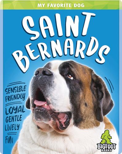 My Favorite Dog: Saint Bernards