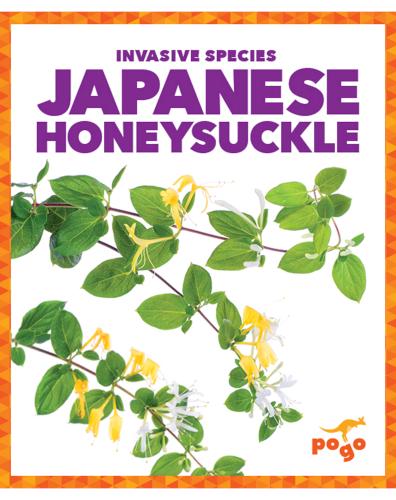 Invasive Species: Japanese Honeysuckle