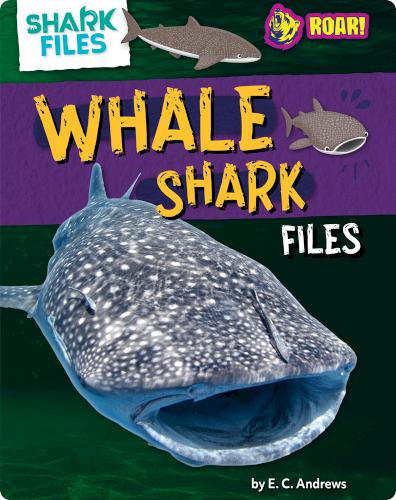 Whale Shark