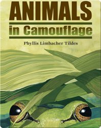 Animals in Camouflage
