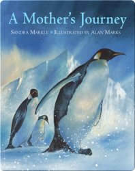 A Mother's Journey