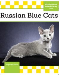 Russian Blue Cats