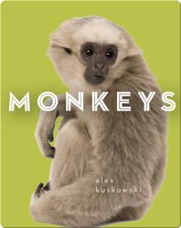 Zoo Animals: Monkeys