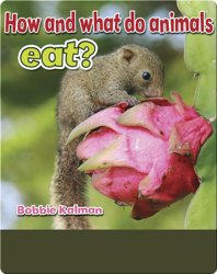 How and What do Animals Eat?