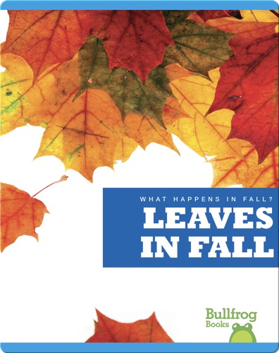 What Happens In Fall? Leaves In Fall