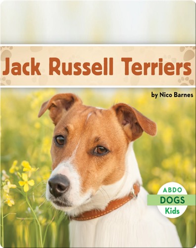 Jack Russell Terriers