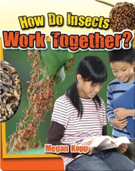 How Do Insects Work Together?