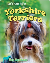 Let's Hear It For Yorkshire Terriers