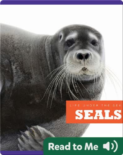 Seals